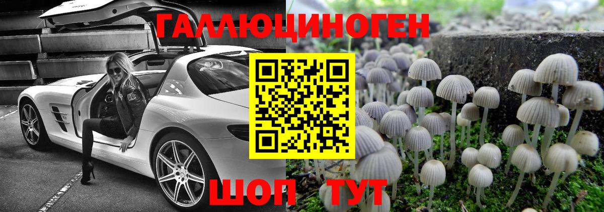 Галлюциногенные грибы мухоморы  Галлюциногенные грибы Psilocybine cubensis  купить наркоту  Геленджик  Вход с VPN 
