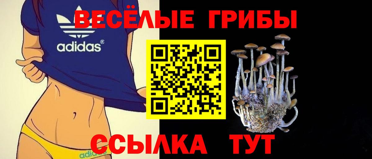 Галлюциногенные грибы MAGIC MUSHROOMS Геленджик